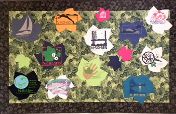 T-shirt quilt 1